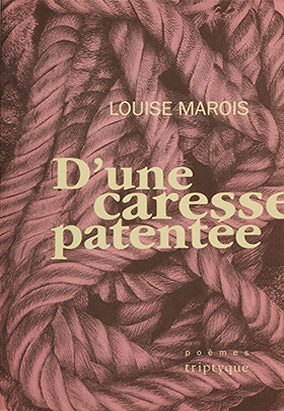 Book cover for Dʼune caresse patentée, by Louise Marois