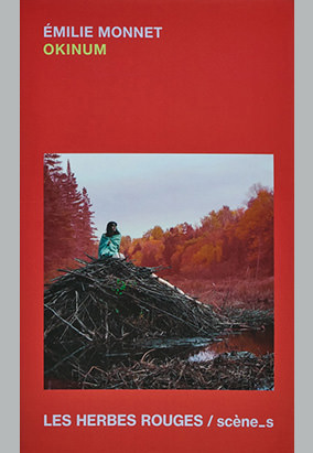 Book cover for Okinum, by Émilie Monnet