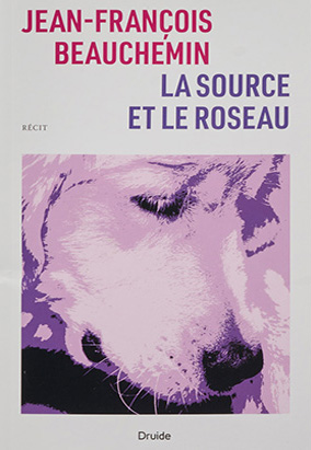 Book cover for La source et le roseau, by Jean-François Beauchemin