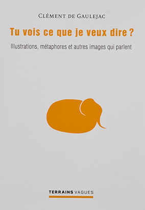 Book cover for Tu vois ce que je veux dire? Illustrations, métaphores et autres images qui parlent, by Clément de Gaulejac