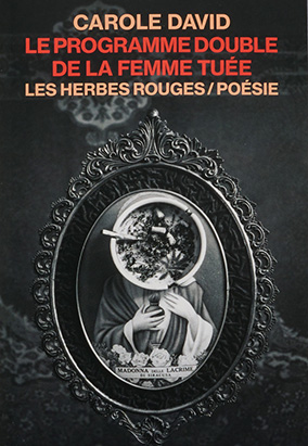 Book cover for Le programme double de la femme tuée, by Carole David
