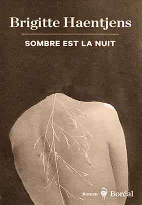 Book cover for Sombre est la nuit, by Brigitte Haentjens