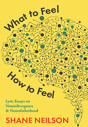 Book cover for What to Feel, How to Feel, by Shane Neilson