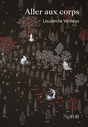 Book cover for Aller aux corps, by Laurence Veilleux
