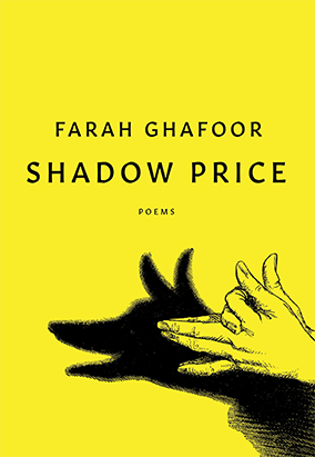 Book cover for Shadow Price, by Farah Ghafoor